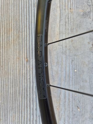 Ruedas Bontrager Paradigm Disc