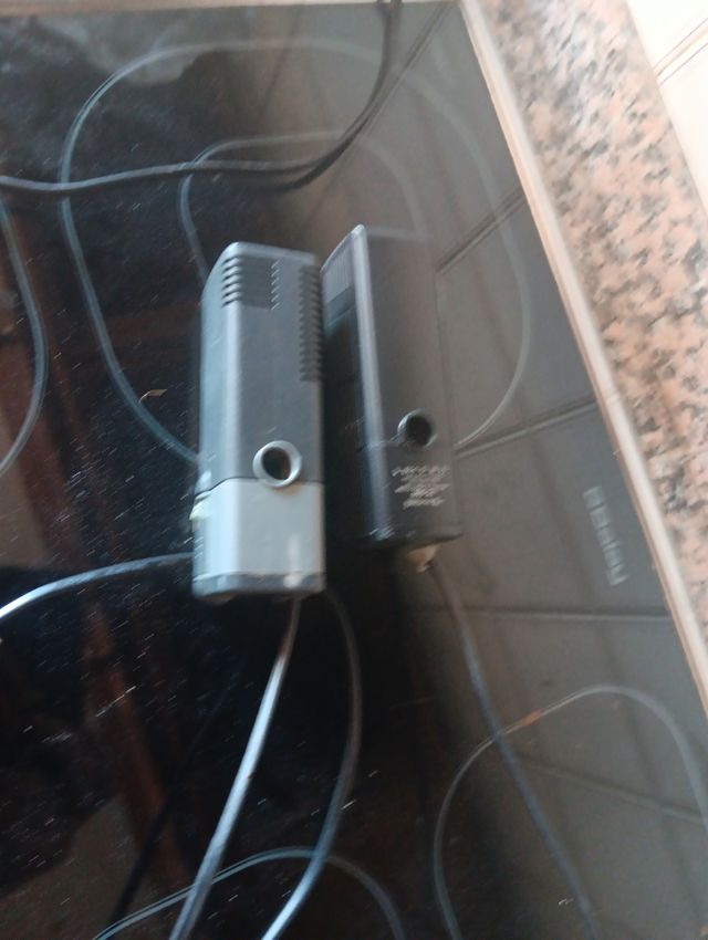 Filtros terrario tortugas