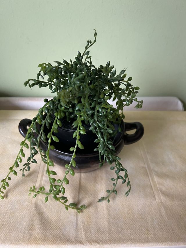 Bol / porta macetas Minoico M