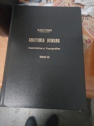 Anatomía humana 