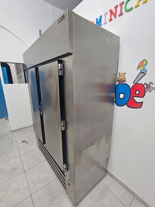 Conjunto de frigo y botelleros 