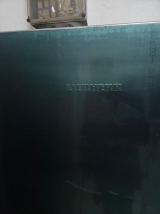Conjunto de frigo y botelleros 