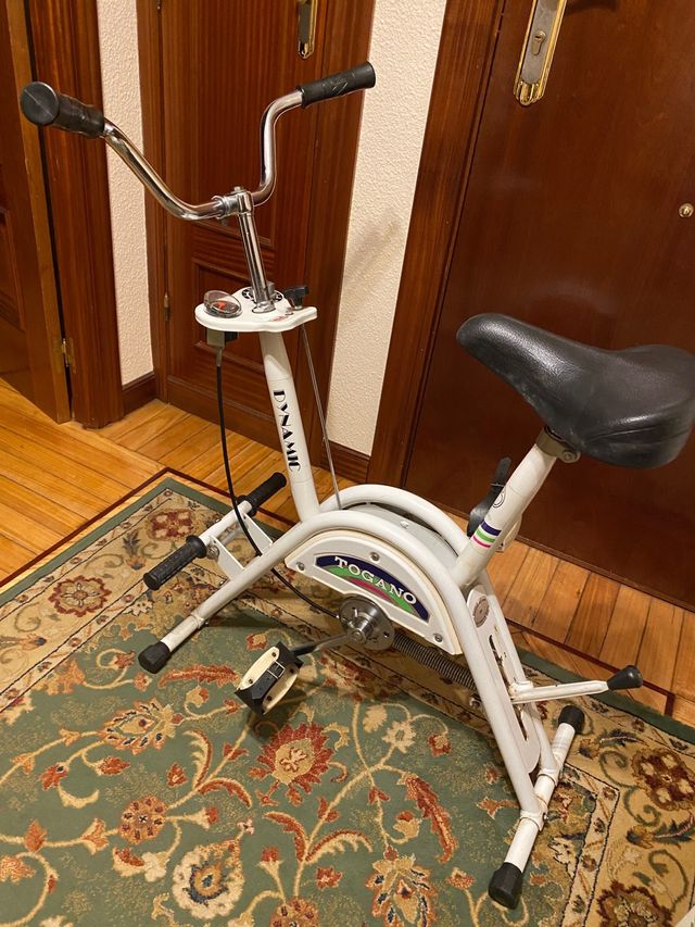 Bicleta estática remo Vintage Togano Dynamic