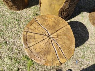 Mesa y bancos tematizados troncos de madera