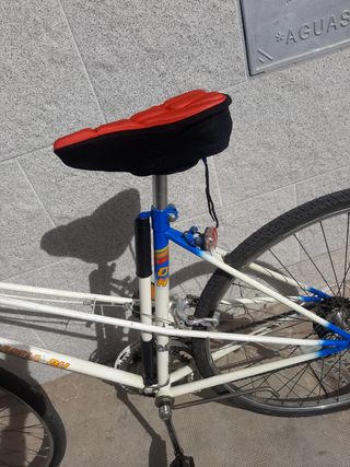 Bicicleta Vintage