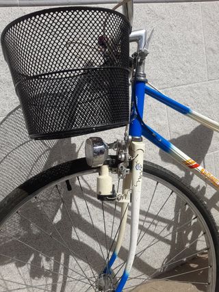 Bicicleta Vintage