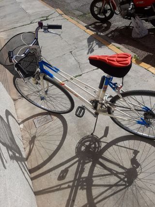 Bicicleta Vintage