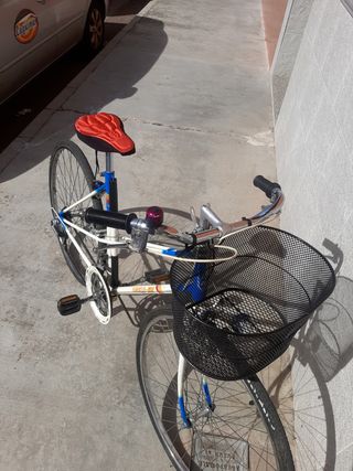 Bicicleta Vintage