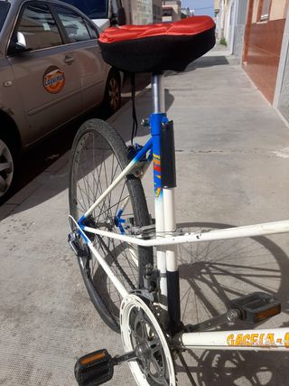 Bicicleta Vintage