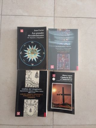 Lote libros Fondo Cultura Económica