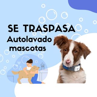 SE VENDE MÁQUINA AUTOLAVADOMASCOTAS