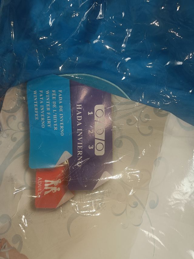 Disfraz mariposa o hada de invierno