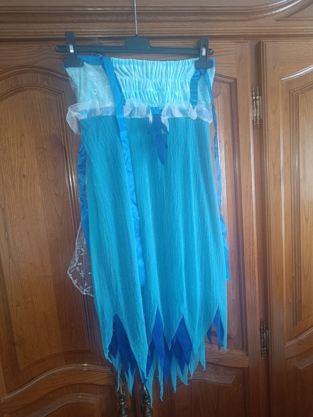 Disfraz mariposa o hada de invierno