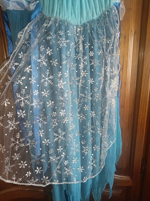 Disfraz mariposa o hada de invierno