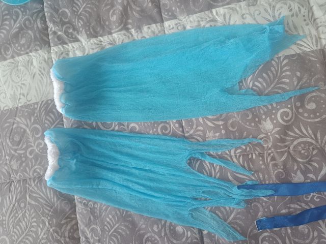 Disfraz mariposa o hada de invierno