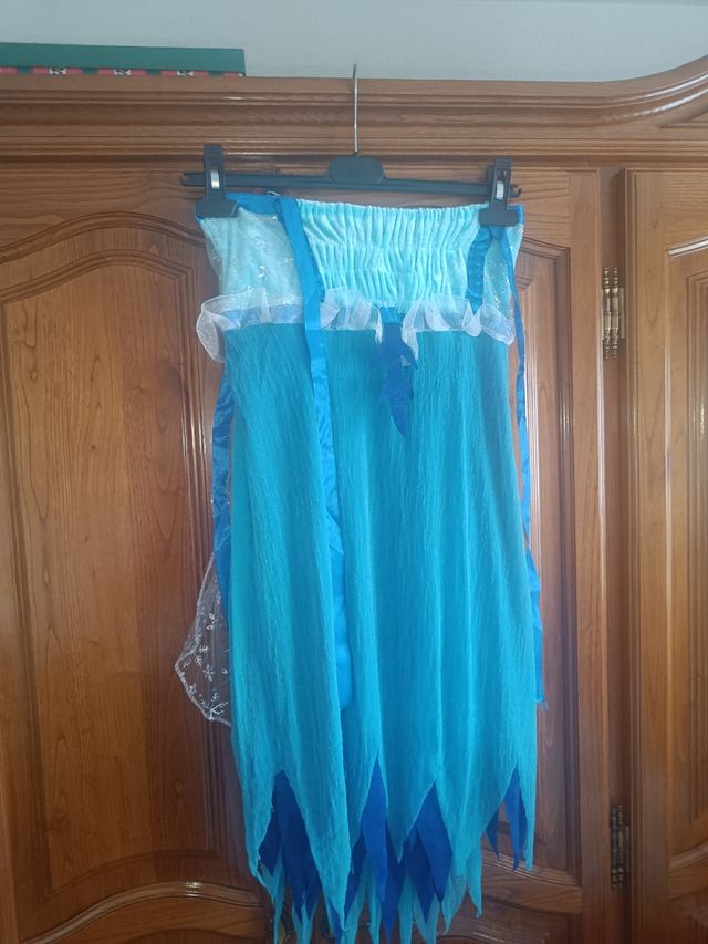 Disfraz mariposa o hada de invierno