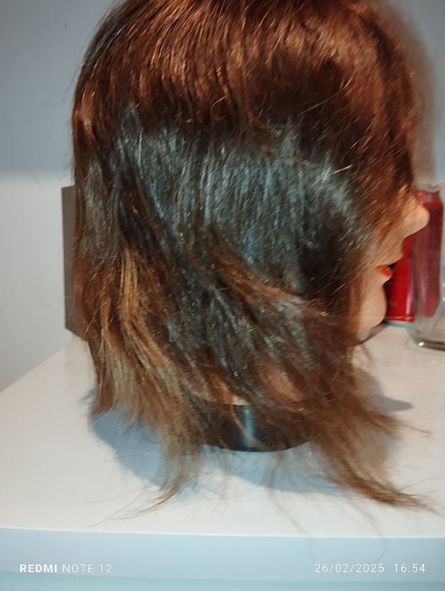 Testa Modella. Labor Pro.