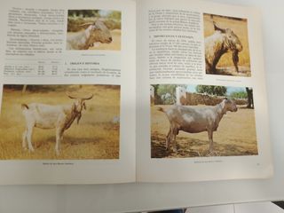 Catalogo de razas autóctonas españolas