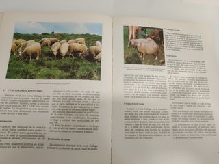 Catalogo de razas autóctonas españolas