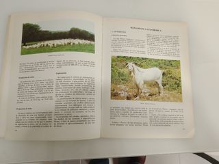 Catalogo de razas autóctonas españolas