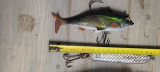 Aparejos de pesca, señuelos