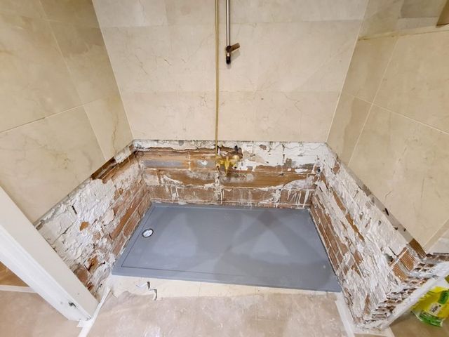 Bañera por plato al mejor precio