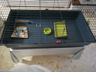 Jaula grande para conejo. Entrega en mano.