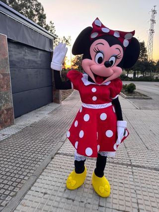 Alquiler disfraz mickey y minnie