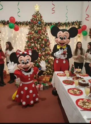 Alquiler disfraz mickey y minnie