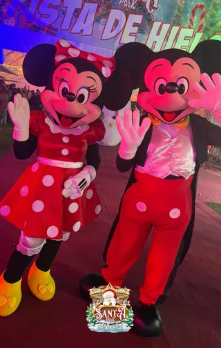 Alquiler disfraz mickey y minnie