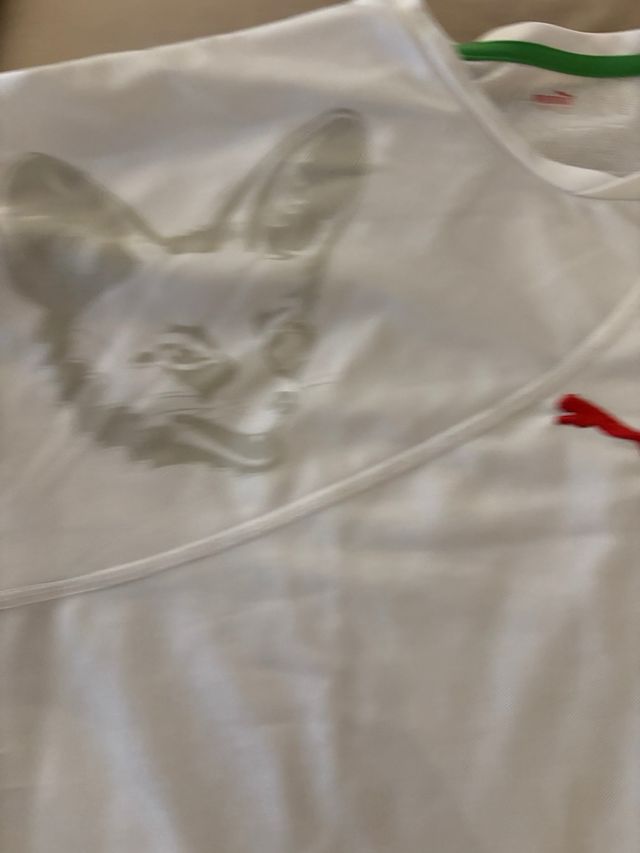 Camiseta futbol Argelia