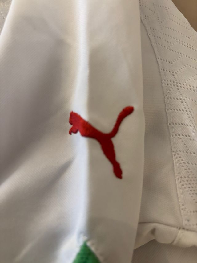 Camiseta futbol Argelia