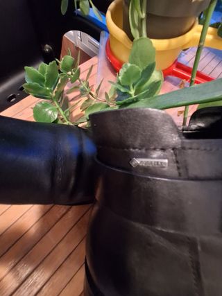 Botines chelsea goretex Clarks