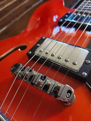 Semihollow con bisby y roller hartwood