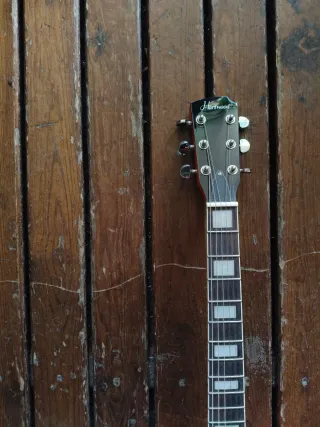 Semihollow con bisby y roller hartwood