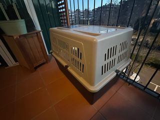Caja de Viaje Para Perros