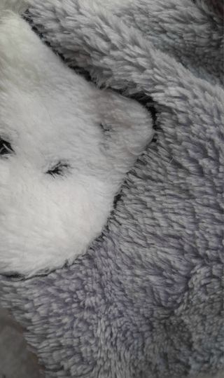 Ropa Perro o Gato bebé