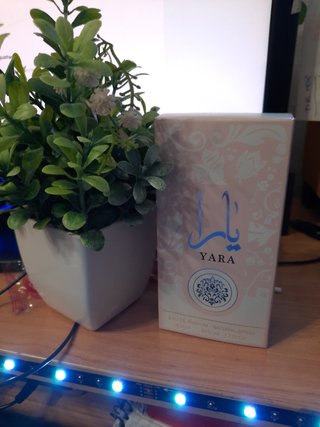 Perfume Yara