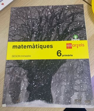 Matemàtiques 6 primaria SM