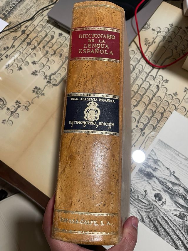 DICCIONARIO DE LA LENGUA ESPAÑOLA