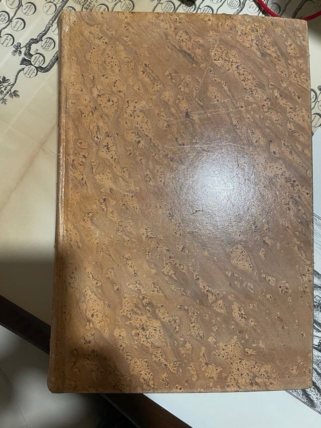 DICCIONARIO DE LA LENGUA ESPAÑOLA