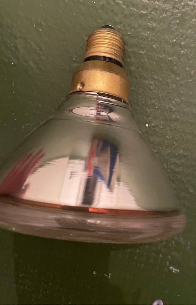 Reflector de vidrio halógeno Tungsram