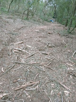 Desbrossadora martells