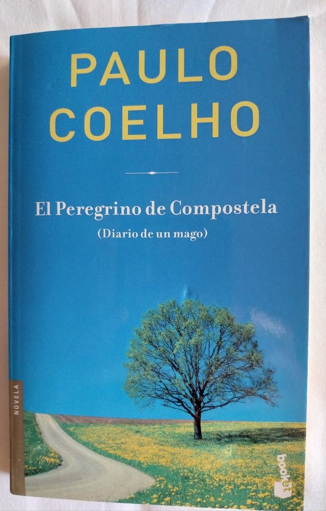El Peregrino de Compostela (Spanish Edition)