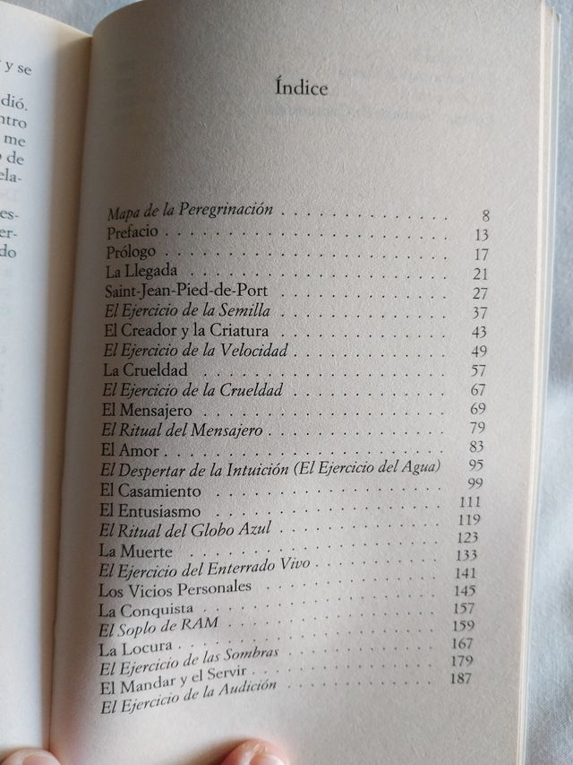 El Peregrino de Compostela (Spanish Edition)