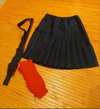 Disfraz colegiala