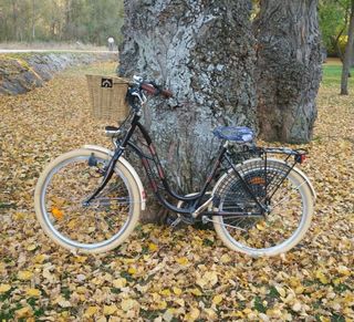 Bicicleta de paseo 
