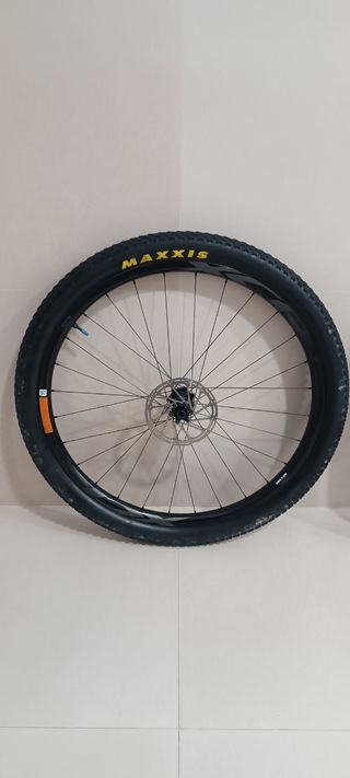 Llantas de carbono 29 Giant mtb