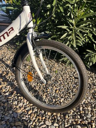 Bicicleta
