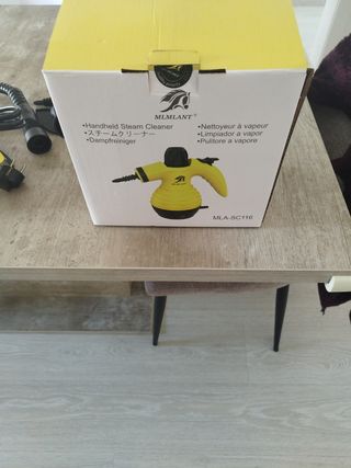 Limpiador a vapor